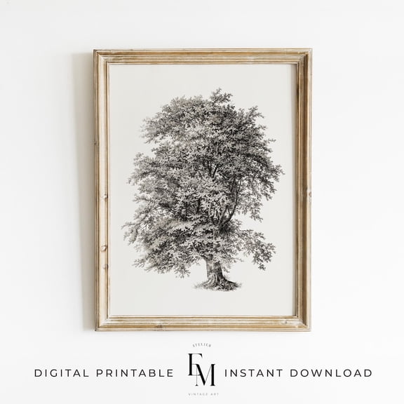 Antique Tree Sketch Print Neutral Rustic Tree Decor Tree Nature Drawing Neutral Rustic Tree Pencil Art Tree Drawing Rustic Decor Etching Art Home Decor #2605, Unframed Canvas Size 24x36