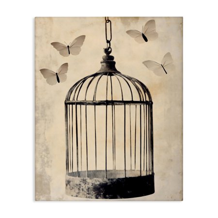 Stupell Industries Antique Uncaged Butterflies Canvas Wall Art, design by Franklyn Gregory