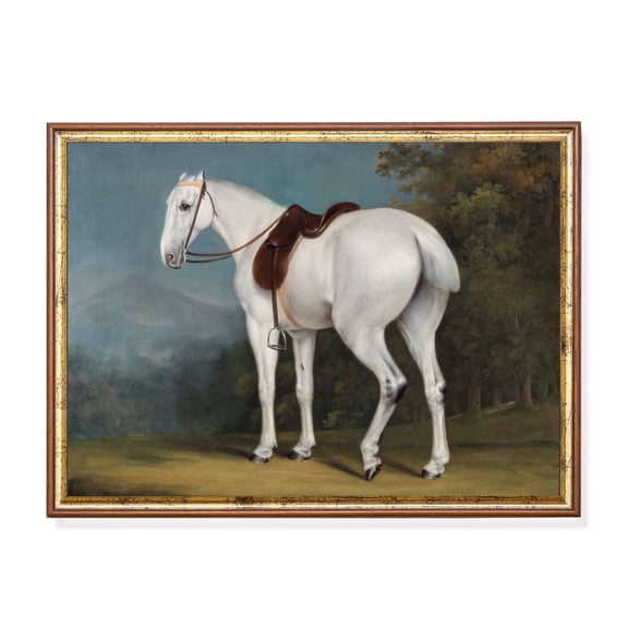 Antique White Horse Portrait 19Th Century Equestrian Art Home Decor, 16x24 UNFRAMED