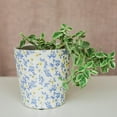 thumbnail image 1 of Antique White With Blue And Yellow Flowers Planter, 1 of 2