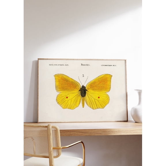 Antique Yellow Butterfly Print Butterflies Wall Art Victorian Decor Insect Nature Art Gift Idea