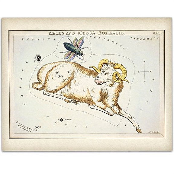 Antique Zodiac Aries Constellation Plate - 11x14 Unframed Art Print - Great Home Decor or Gift to Astrology Enthusiasts