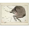 thumbnail image 1 of Antique Zodiac Taurus Constellation Plate - 11x14 Unframed Art Print - Great Home Decor or Gift to Astrology Enthusiasts, 1 of 6