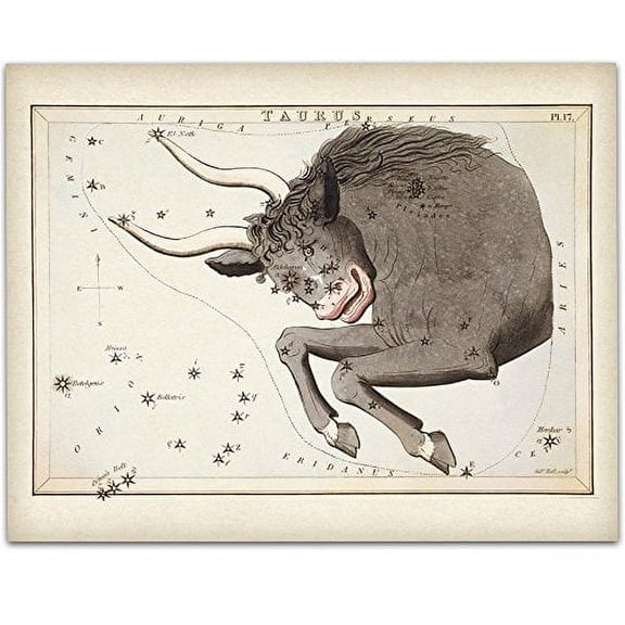 Antique Zodiac Taurus Constellation Plate - 11x14 Unframed Art Print - Great Home Decor or Gift to Astrology Enthusiasts