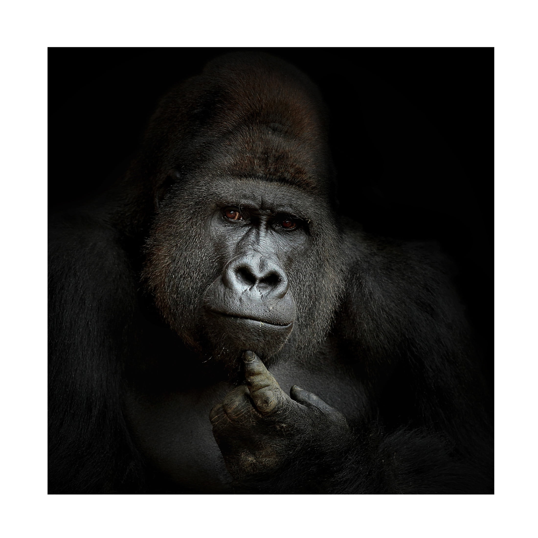 Antje Wenner Braun 'Ego Cogito Ergo Sum' Canvas Art - 14 x 14 Inches