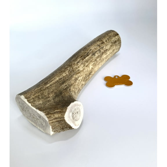 Antler Dog Chew - Jumbo