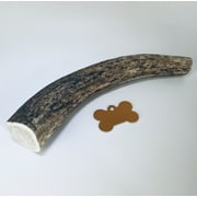 Antler Dog Chew - Large