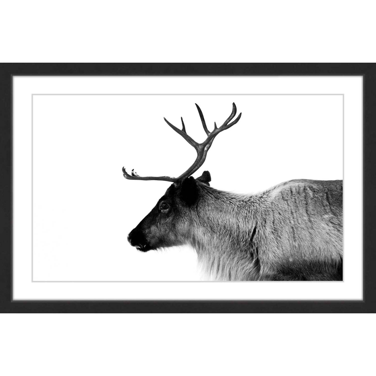Antler Profile Framed Painting Print