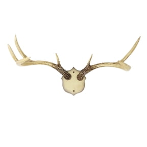 Antler Wall Rack Resin Deer Antler Hooks Rustic Cabin Lodge Decor Mounted Organizer Hat Hanger Key Holder Entryway Bathroom Towel Hook Hunting Western Farmhouse Decoration Gift