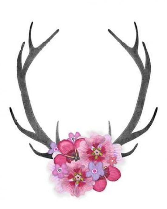 Antlers and Pink Flowers Canvas Art - Amy Cummings (24 x 30)