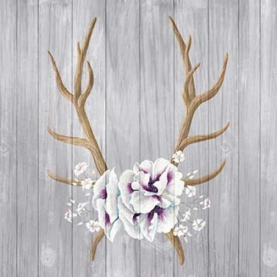 Antlers and Poppies I Sq Canvas Art - Elyse DeNeige (24 x 24)