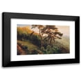 thumbnail image 1 of Anton Hlavacek 24x16 Black Modern Framed Museum Art Print Titled - Die Habsburg (1910), 1 of 1