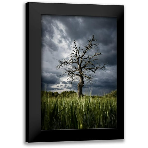 Anton, Rostovskiy 13x18 Black Modern Framed Museum Art Print Titled - Stormy Weather