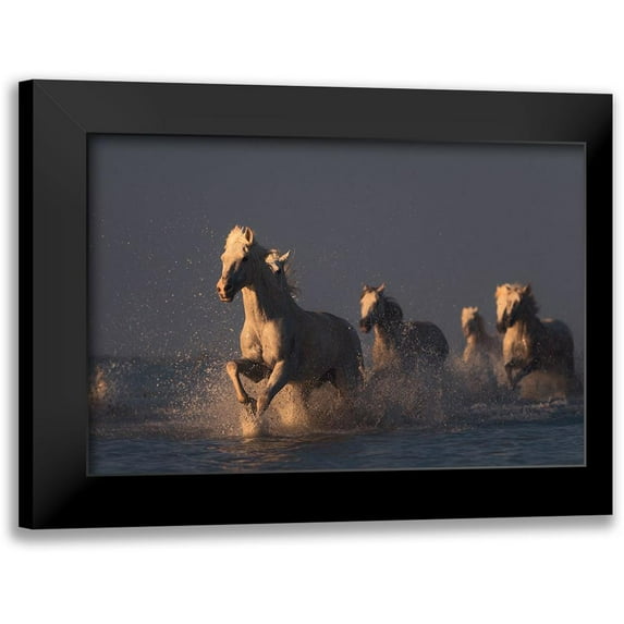 Anton, Rostovskiy 14x11 Black Modern Framed Museum Art Print Titled - Horses In Sunset Light