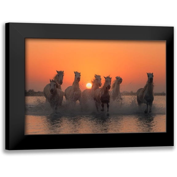 Anton, Rostovskiy 14x11 Black Modern Framed Museum Art Print Titled - Sunset In Camargue