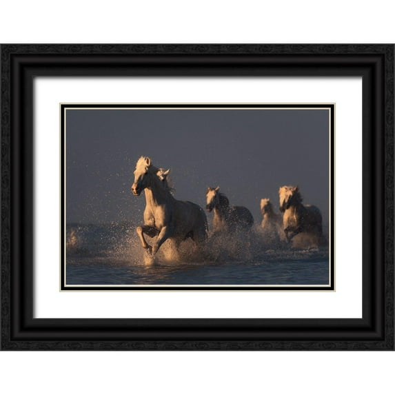 Anton, Rostovskiy 14x11 Black Ornate Wood Framed with Double Matting Museum Art Print Titled - Horses In Sunset Light