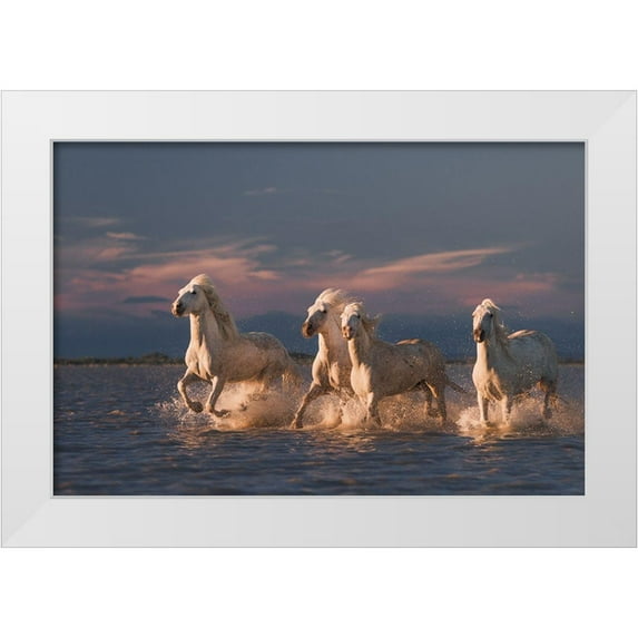 Anton, Rostovskiy 14x11 White Modern Wood Framed Museum Art Print Titled - Angels Of Camargue