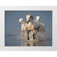 thumbnail image 1 of Anton, Rostovskiy 18x15 White Modern Wood Framed Museum Art Print Titled - Camargue Horses On Sunset, 1 of 4