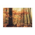 thumbnail image 1 of Anton van Dongen 'Soft Fall' Canvas Art, 1 of 3