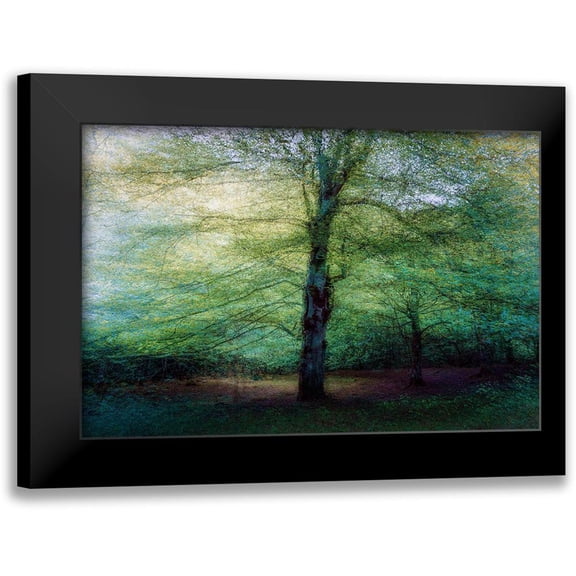 Antonio Cobo, Marco 14x11 Black Modern Framed Museum Art Print Titled - Forest