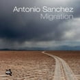 thumbnail image 1 of Antonio Sanchez & Pat Metheny & Chick Corea - Migration, 1 of 1