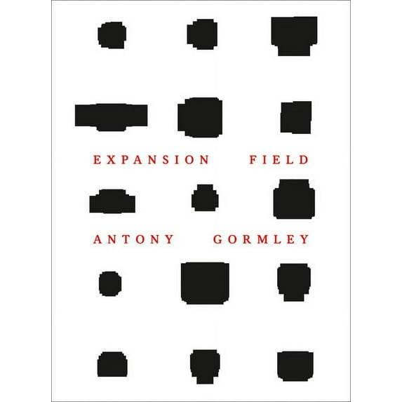 Antony Gormley : Expansion Field