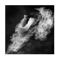 Antonyus Bunjamin 'Down To Earth' Canvas Art - 14 x 14 Inches