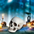 thumbnail image 1 of Antqov Halloween Human Skull Model Adult Skull Decor Fake Head Decorations Realistic Head Bones Skeletons Statue for Party Home Halloween Decor, 1 of 5