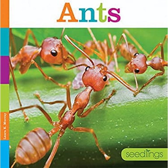 Pre-Owned Ants (Paperback) 1628321849 9781628321845