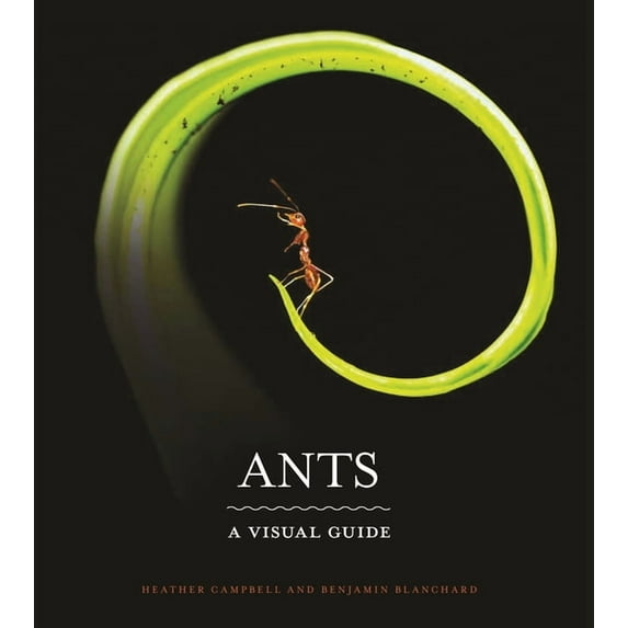 Ants: A Visual Guide, (Hardcover)