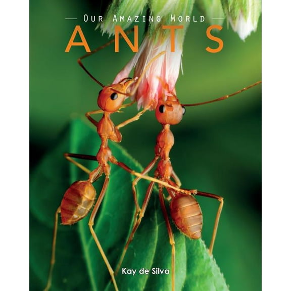 Ants: Amazing Pictures & Fun Facts on Animals in Nature (Paperback)