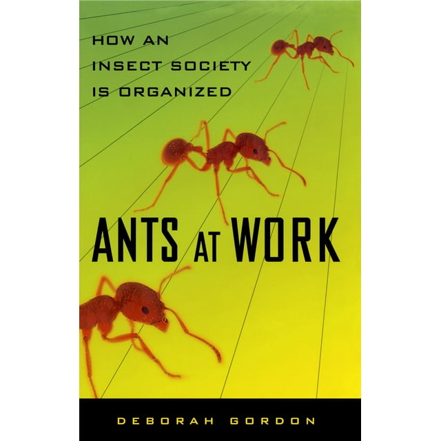 Ants At Work : How An Insect Society Is Organized (Paperback)