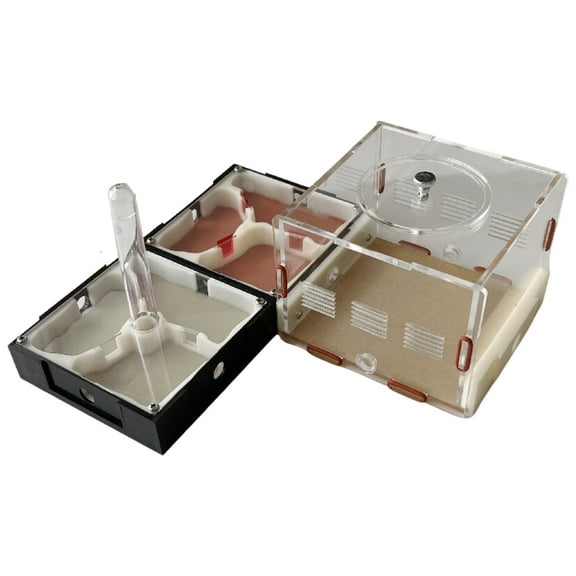 Ants Footsteps Ant Farm Science Kit – Nature Learning with Water Tower Nurturing Room and Comprehensive Observation-Set 3