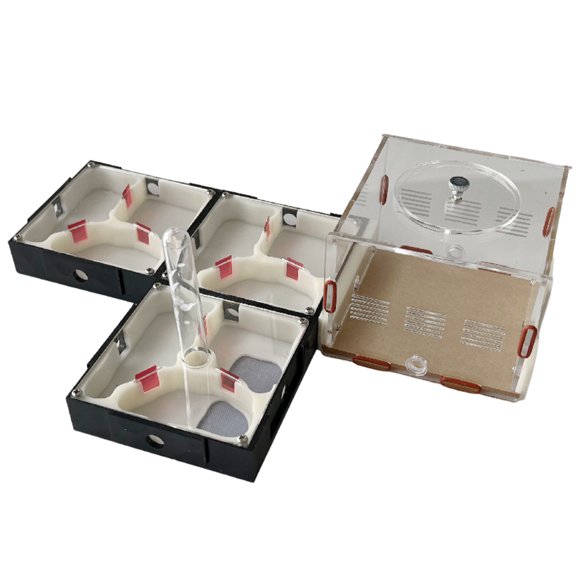 Ants Footsteps Ant Farm Science Kit – Nature Learning with Water Tower Nurturing Room and Comprehensive Observation-Set 4