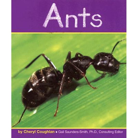 Pre-Owned Ants (Paperback) 0736848843 9780736848848