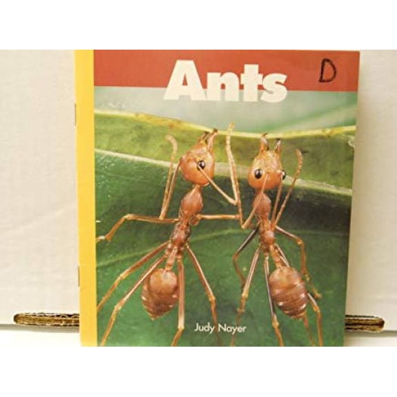 Ants (Paperback)