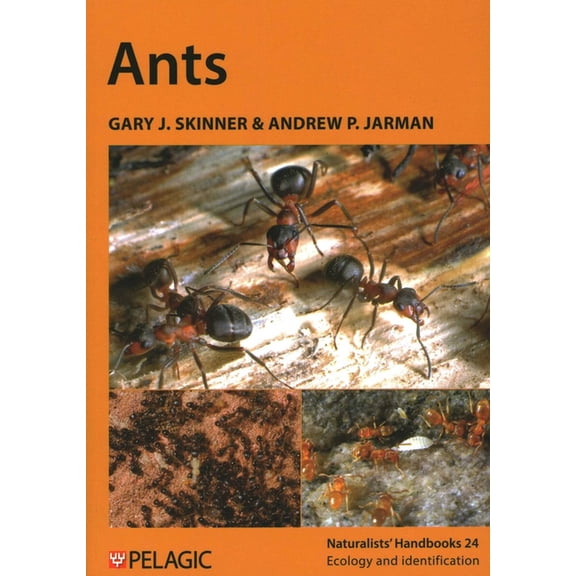 Ants, (Paperback)