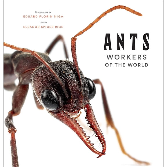 Ants: Workers of the World, (Hardcover)
