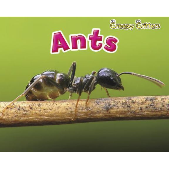 Pre-Owned Ants (Paperback) 1410948145 9781410948144