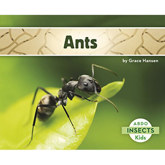 Pre-Owned Ants