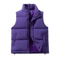 thumbnail image 1 of AnuYalue Men's Big and Tall Puffer Vest Winter Warm Stand Collar Padded Vests Casual Outdoor Work Fishing Travel Sleeveless Jacket, 1 of 3