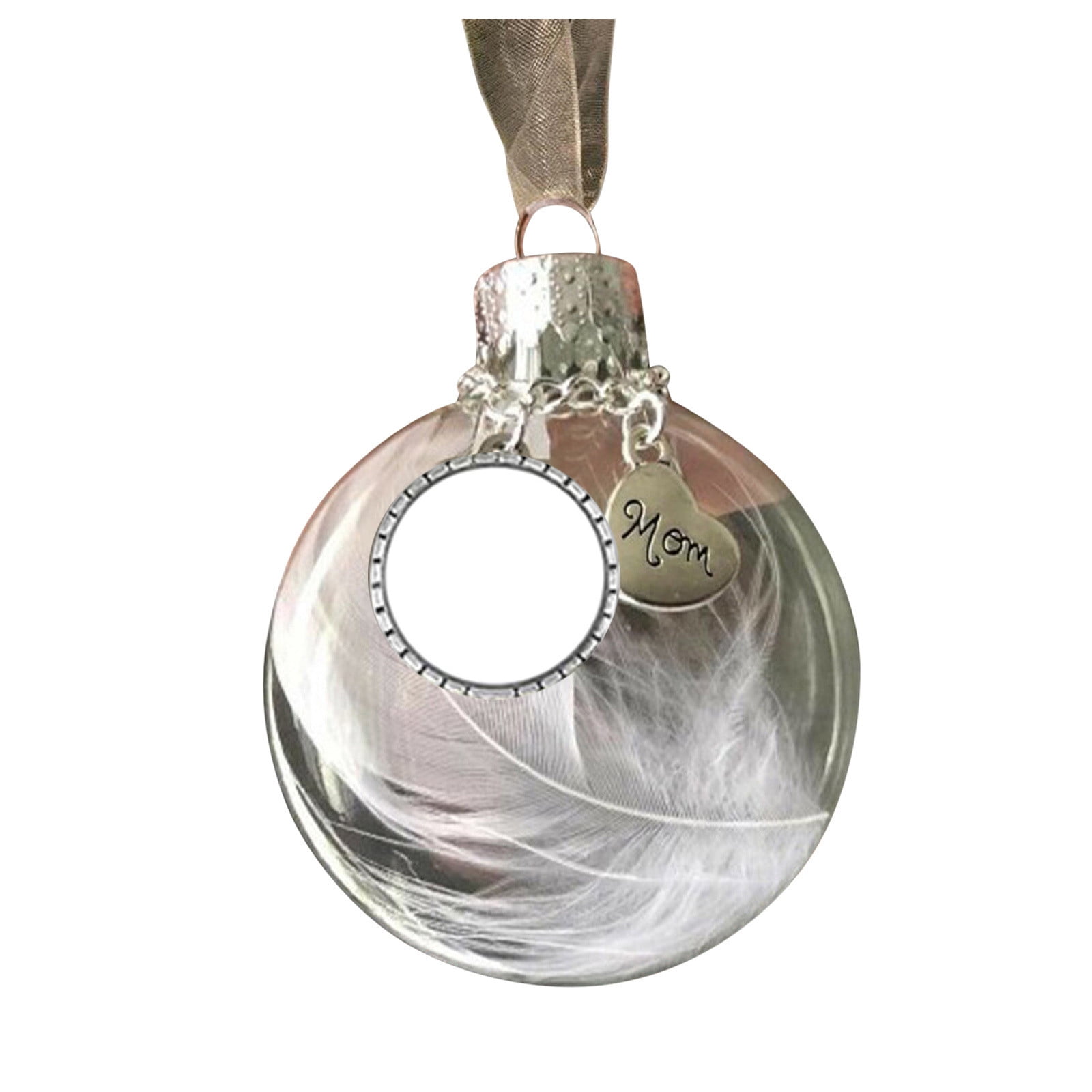 AnuirheiH Clear Christmas Memorial Ornament Feather Ball, A Piece of My ...