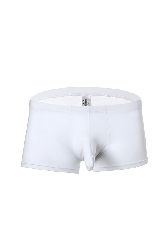 Men's Lingerie Boxer Shorts Mesh Breathable Sexy Underpants