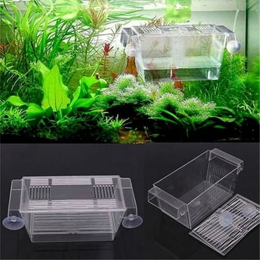 Anvazise Aquarium Fish Tank Guppy Double Breeding Breeder Rearing Trap Box Hatchery