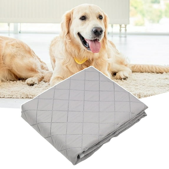 Anvazise Pet Mat,Anti-slip Wear-resistant Durable Waterproof Bottom Urination Soft Indeformable Machine Washable Dog Blanket Pet Supplies 1Pc Grey XL