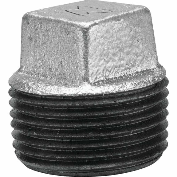 Anvil Malleable Iron Galvanized Plug 8700159703 - 1/8 In. Pipe Plug