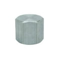 thumbnail image 1 of Anvil 1/8 in. FPT Malleable Iron Cap, 1 of 2