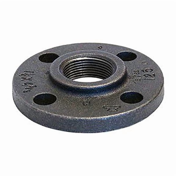 Anvil Flange,Threaded,Cast Iron,2" Pipe Size 0309002806