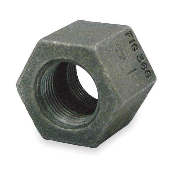 Anvil Hex Coupling Hex Coupling, 1" Pipe, FNPT, Cast Iron, Class 125 0300147998