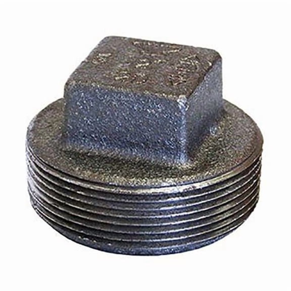 Anvil Hex Head Plug Hex Head Plug, 1-1/2" Pipe, Cast Iron, Class 150 0318901964